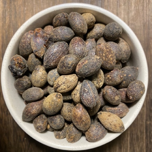 亳州葵树子中药材精选广西大粒葵树籽老果葵扇子葵扇籽蒲