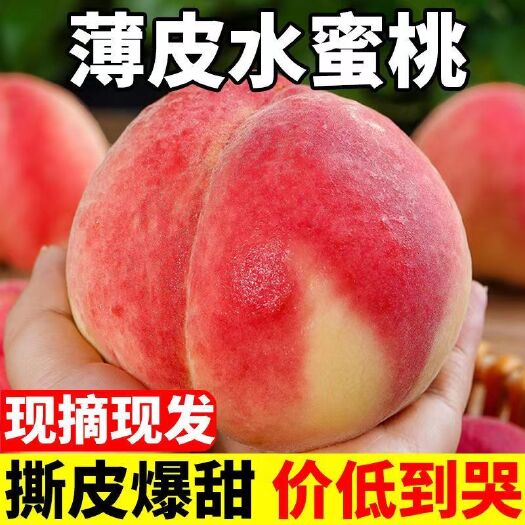 【甜】头茬水蜜桃应季水果薄皮毛桃现摘水果水果大桃子新鲜