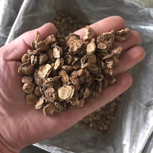 牛蒡茶   牛蒡根  黄金牛蒡
