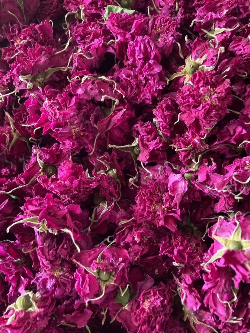 玫瑰花茶  玫瑰花冠茶  山东重瓣玫瑰花冠