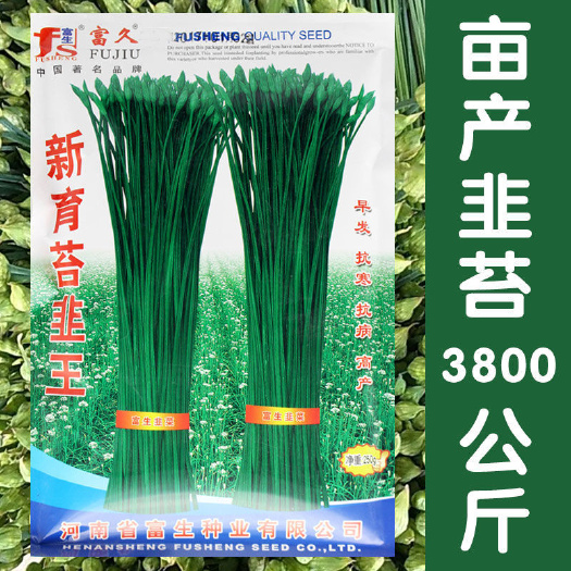 漯河富生新育苔韭王种子，韭苔种子，叶苔兼用，早发，抗寒，抗病