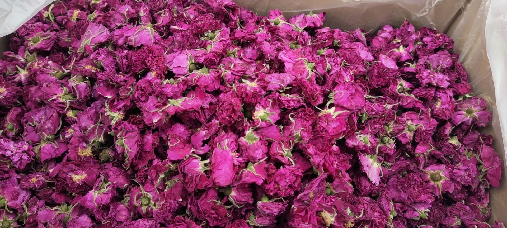 玫瑰花茶  玫瑰花冠茶  山东重瓣玫瑰花冠