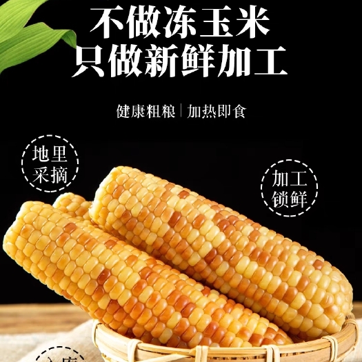 沛县新鲜甜香糯真空包装即食花糯玉米棒代餐粘黏玉米
