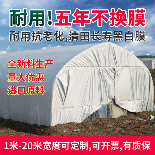 加厚防晒黑白膜养殖膜隔热降温青储池塘防渗反光食用菌种植绿白膜