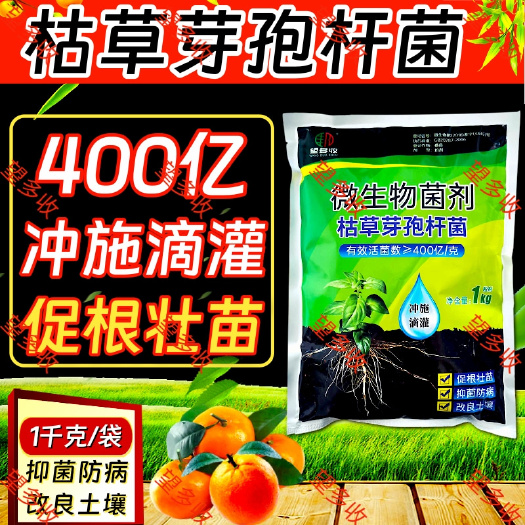 潍坊启明枯草芽孢杆菌400亿 生根提苗破板结抗重茬