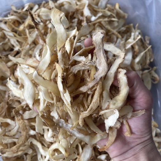 玉林玉竹片