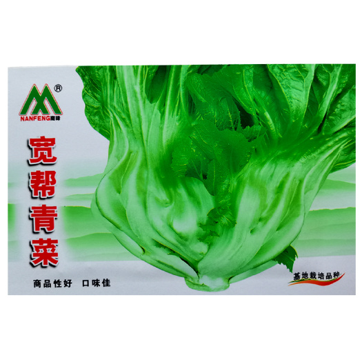 宽帮青菜种子耐寒量产腌渍泡菜酸菜鱼秋季四川特色芥菜种籽