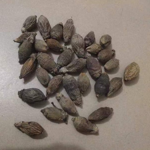 东兴市槟榔果干，90颗/kg，通货
