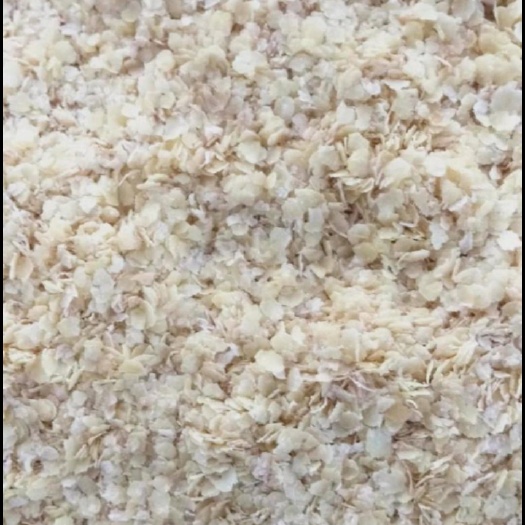 库车市优质小麦胚芽