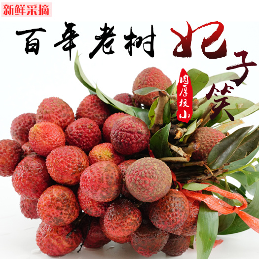 海口海南百年老树妃子笑荔枝新鲜水果当季整箱包邮王超大桂现摘荔枝