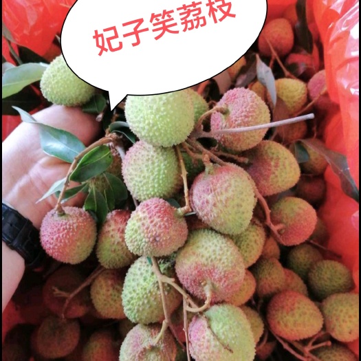 灵山县新鲜荔枝 整箱6斤广西鸡嘴荔枝 桂味黑叶白糖罂三月红 妃子笑
