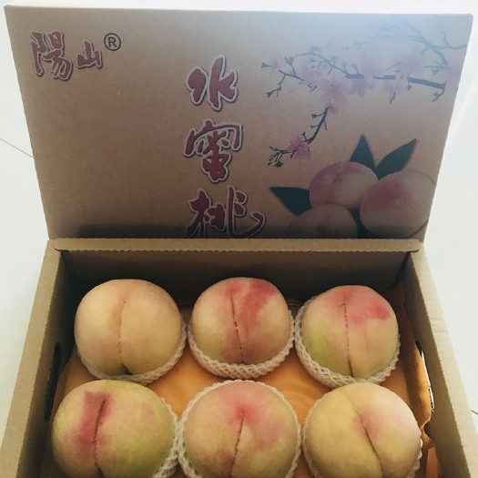 无锡正宗阳山水蜜桃
