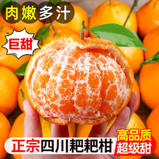 成都四川特级丑橘不知火春见耙耙柑10斤橘子甜当季整箱新鲜水果