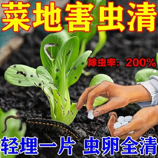 栾川县园艺防虫片糖化硼肥片防蓟马白粉虱小黑飞蔬菜花卉通用