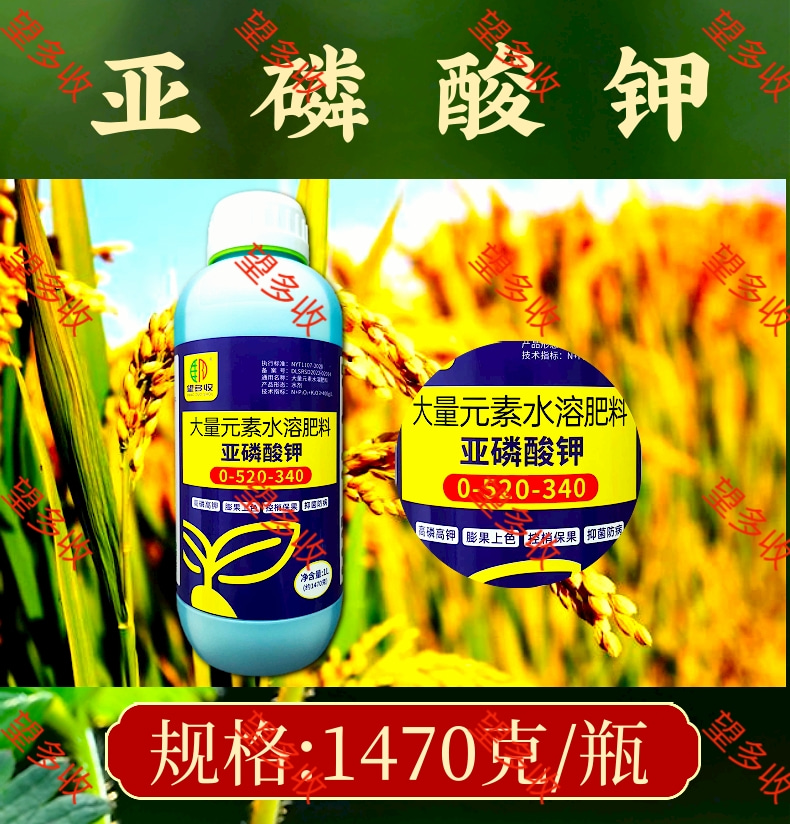 亚磷酸钾叶面肥 膨果上色控梢保果抑菌防病大量元素水溶肥