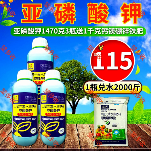 潍坊亚磷酸钾叶面肥控梢控促花芽旺柑橘果树蔬菜高磷高钾膨果上色增甜