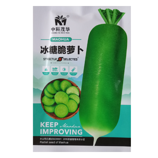 冰糖水果萝卜种籽生吃脆甜绿皮绿肉萝卜种子农家蔬菜四季播种耐热