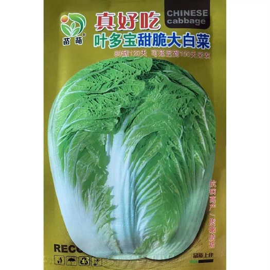 丰抗70白菜种子叶多宝甜脆大白菜种籽老品种大棵白菜种子