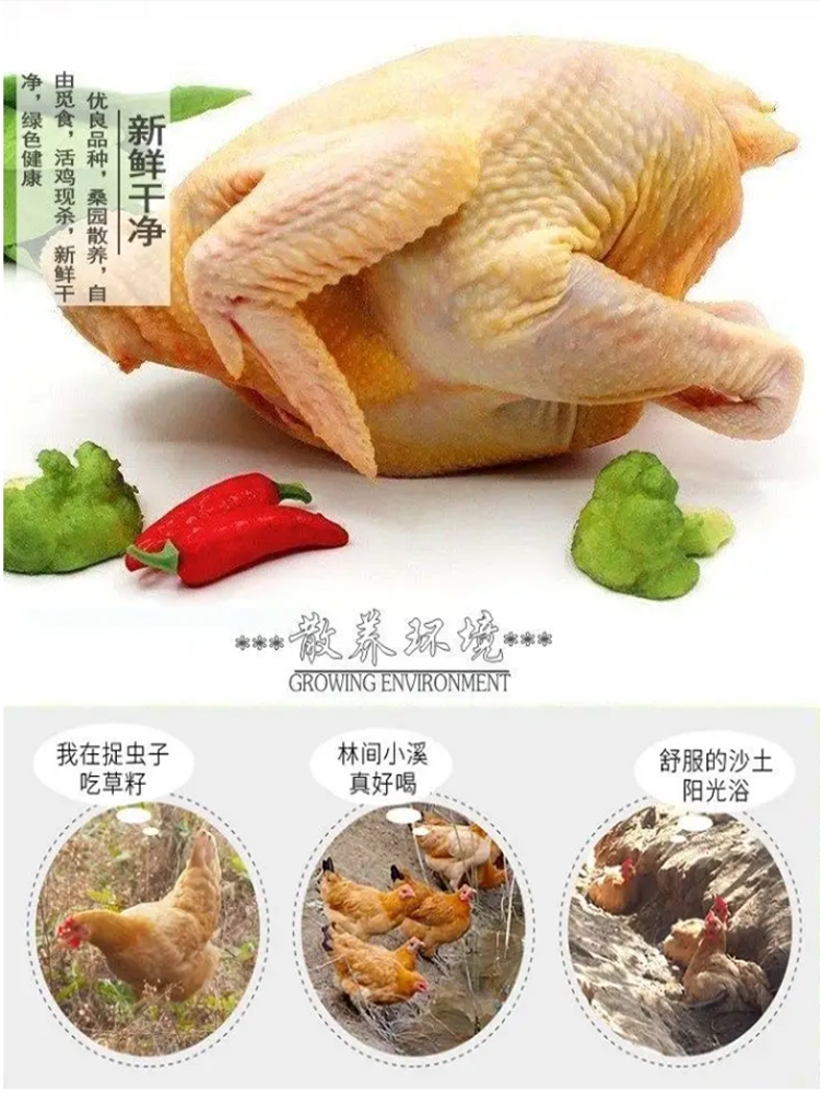 土鸡，生鲜，现杀现发