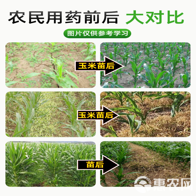 36%硝烟莠去津可分散油悬浮剂玉米田苗后专用除草剂禾阔双杀