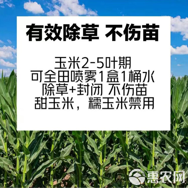 36%硝烟莠去津可分散油悬浮剂玉米田苗后专用除草剂禾阔双杀