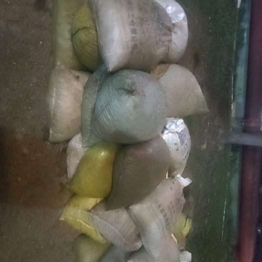 苍南县饲料螺丝石螺批发