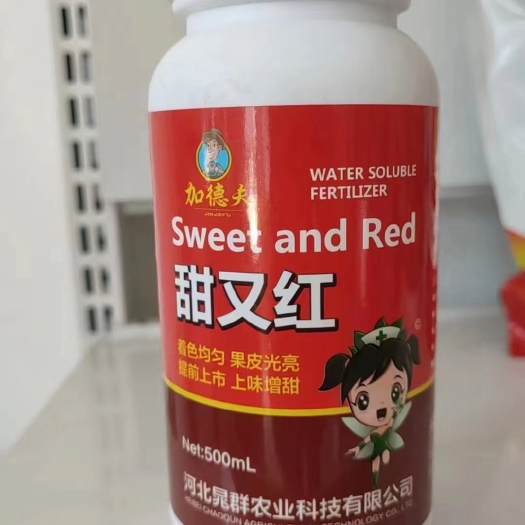 长沙甜又红