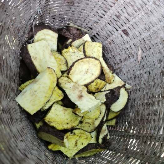 墨江县山乌龟