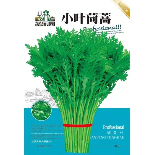 小叶茼蒿种子好吃茼蒿种子籽蔬菜种子茼蒿种子皇帝菜种子
