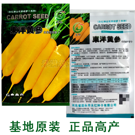 黄参水果胡萝卜种孑齐头黄胡萝卜种籽春秋四季春四季庭院蔬菜种子