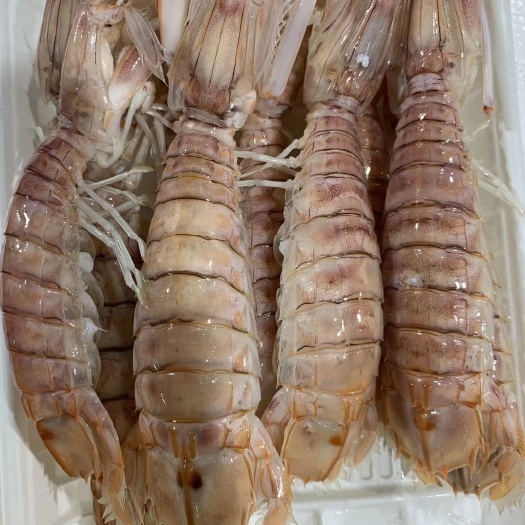 惠州熟凍皮皮蝦..有肉.存放時(shí)間180天暫時(shí)只發(fā)省內(nèi)