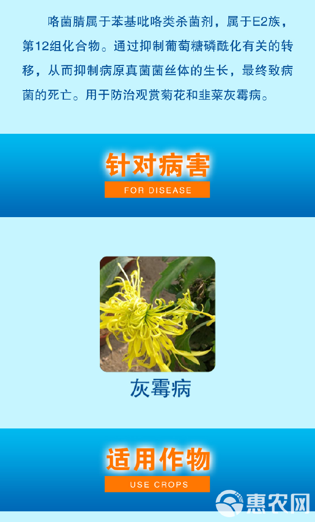 先正达卉友50%咯菌腈韭菜灰霉病观赏菊花灰霉病先正达杀菌剂批