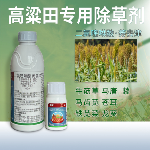 高粱田专用除草剂苗后封闭杂草高隆二氯喹啉酸莠去津农药