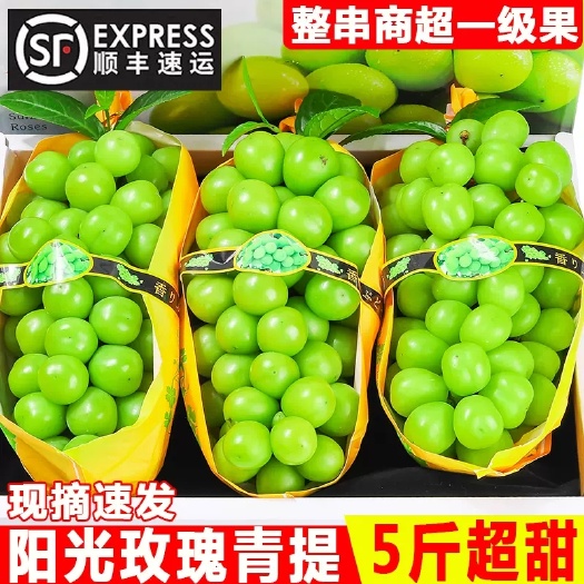 红河县阳光玫瑰葡萄5斤晴王葡萄新鲜无籽葡萄香印青提水果新鲜当季整箱