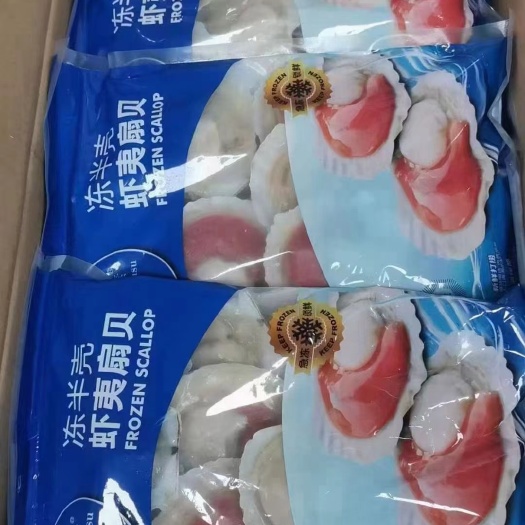 上海600