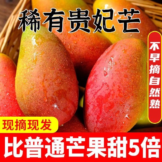 现摘海南贵妃芒新鲜水果3/5/10斤装红金龙小贵妃批发包邮