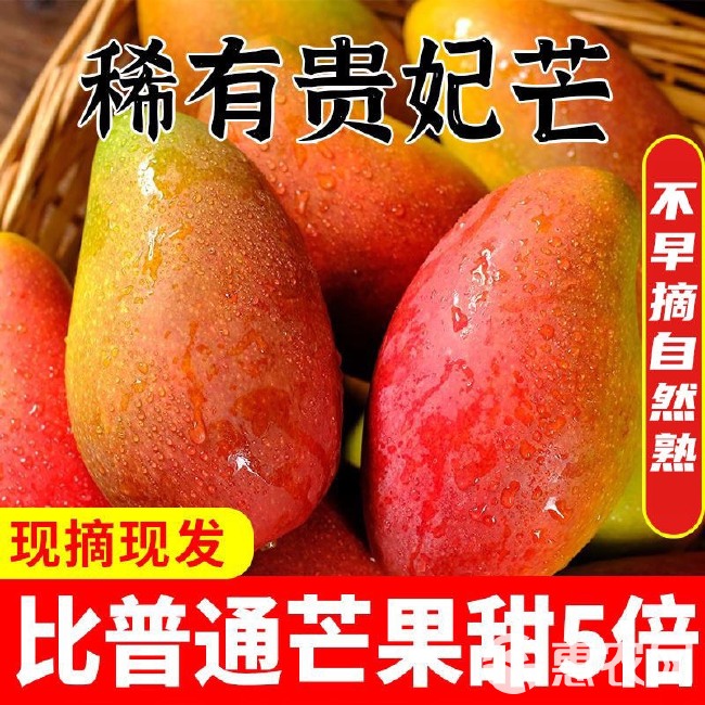 海南贵妃芒10斤芒果新鲜当季热带水果现摘红金龙辣椒芒甜心芒包