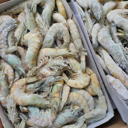 整件南美白对虾/大青虾30/40规格优质海鲜冻品食材