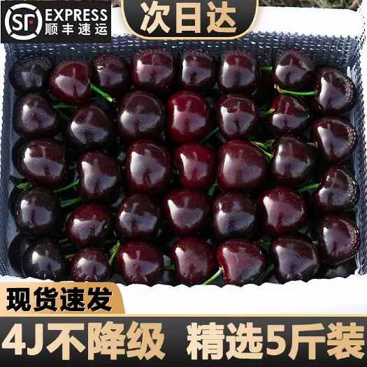 栖霞市烟台大樱桃新鲜采摘车厘子美早山东烟台美早大樱桃一件代发