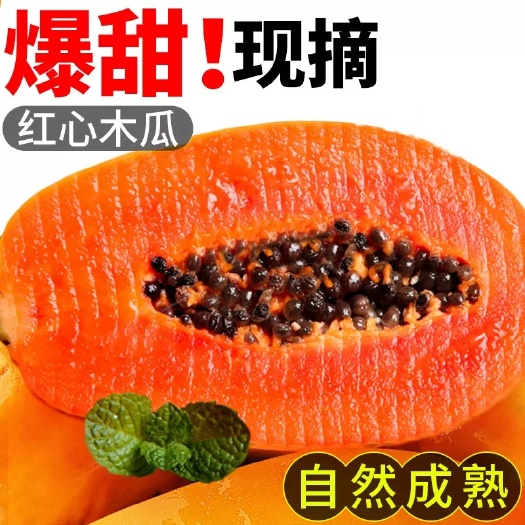 上林县红心牛奶木瓜10斤整箱新鲜孕妇水果当季冰糖心青皮木瓜自然熟包