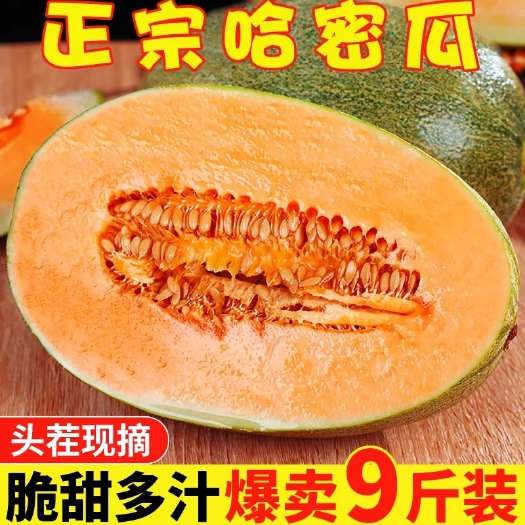 海口正宗哈密瓜9斤当季新鲜水果一整箱包邮现摘网纹瓜海南西州蜜瓜