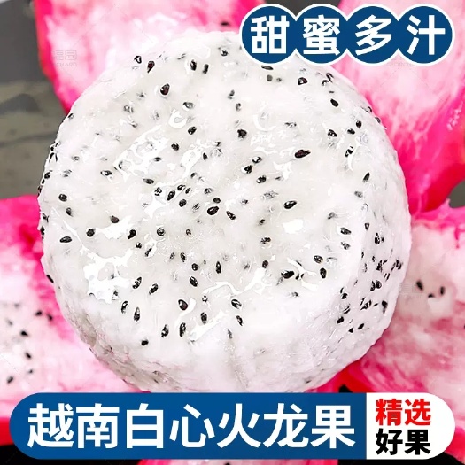 昆明白心火龙果新鲜9斤当季越南热带水果白肉火龙果整箱包邮批发