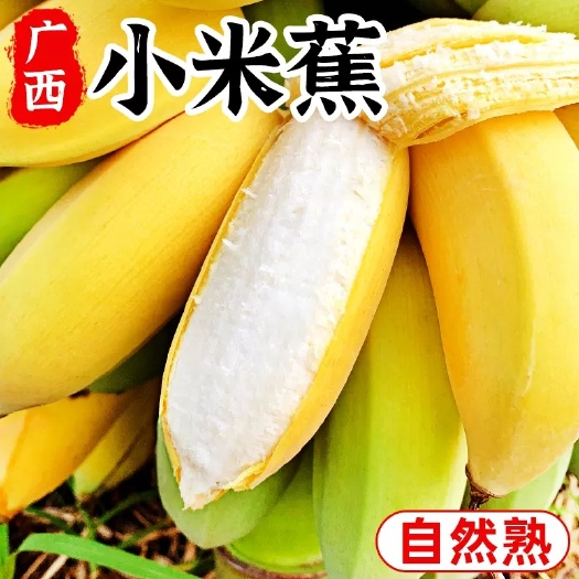 南宁广西正宗小米蕉10斤新鲜香蕉芭蕉水果香焦自然熟整箱苹果蕉粉蕉