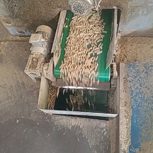 常德竹子生物燃料