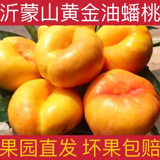 蒙阴县山东蒙阴黄油蟠桃纯甜无酸一件代发