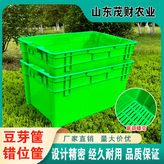 临沂厂家供应豆芽培植塑料箱  豆芽生产周转箱 蔬菜果蔬物流周转箱