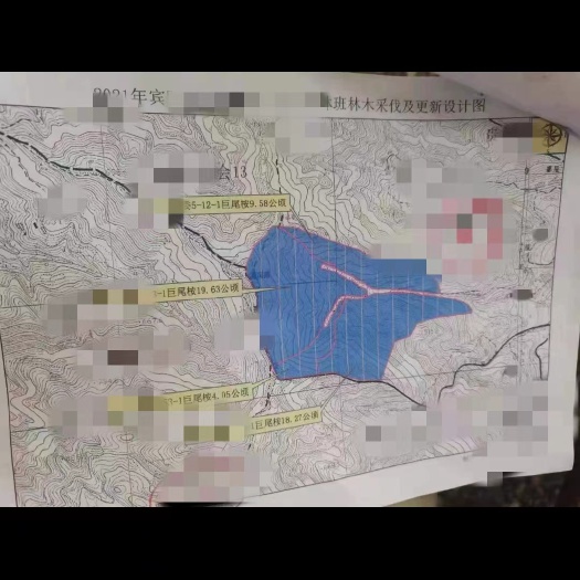 南宁桉树林地，18年租金，一年幼苗转让，手续齐全有林权证？