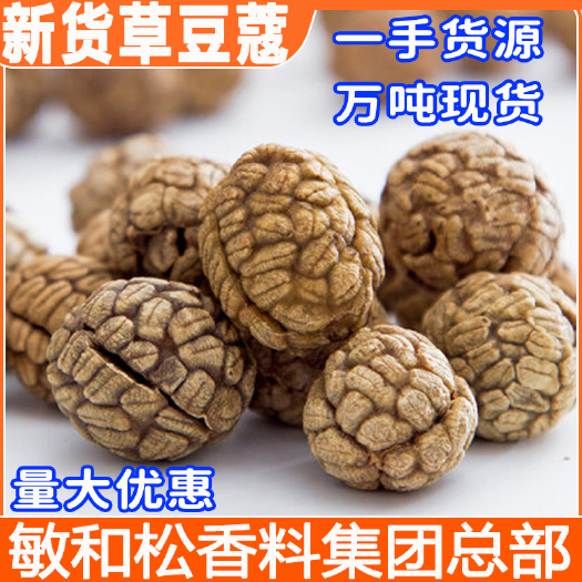 玉林草蔻 老蔻 脑蔻草豆蔻草寇草扣香料调料佐料卤料香辛料调味品调