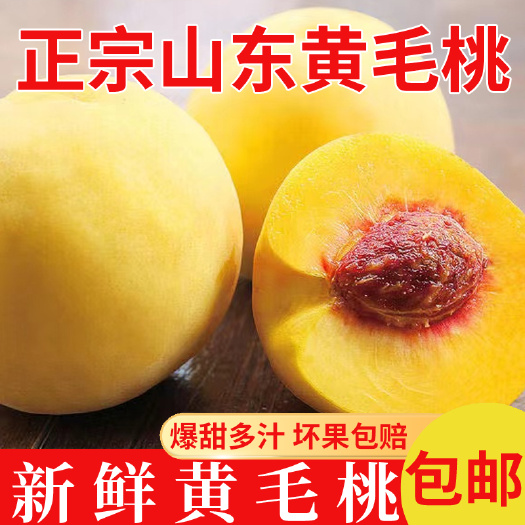 沂源县黄桃新鲜水果山东蒙阴黄金毛桃炎陵锦绣现发当季孕妇5斤整箱