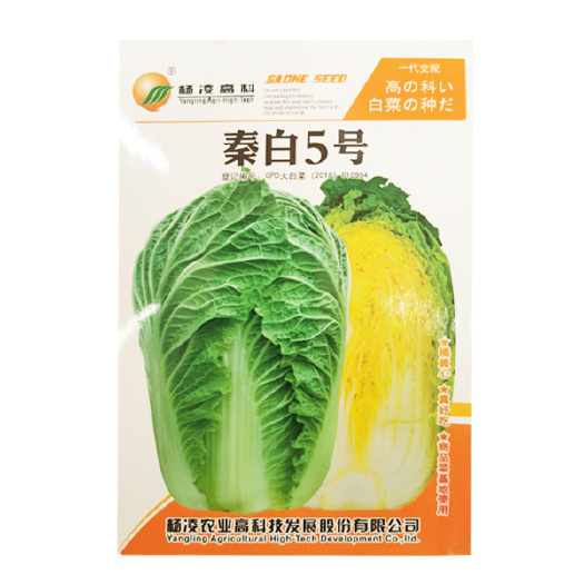 杨凌高科杨凌种子秦白大白菜种子秦白5号高抗黄心白菜10克